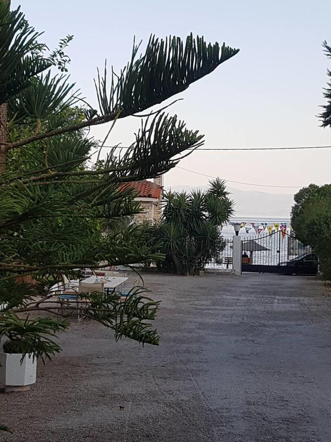 Oasis Studios Ag Pantes Agioi Pandes Dış mekan fotoğraf
