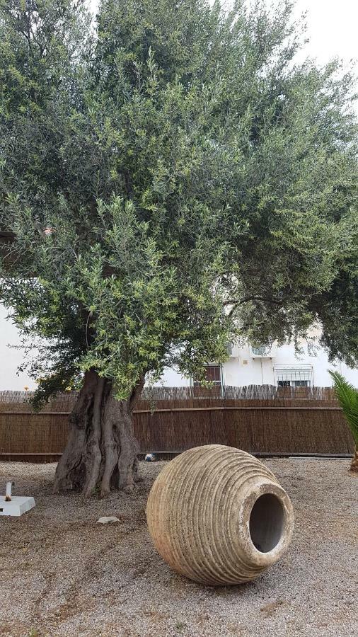 Oasis Studios Ag Pantes Agioi Pandes Dış mekan fotoğraf