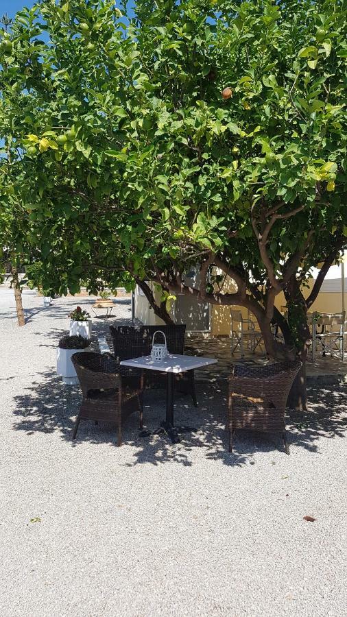 Oasis Studios Ag Pantes Agioi Pandes Dış mekan fotoğraf