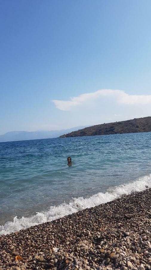 Oasis Studios Ag Pantes Agioi Pandes Dış mekan fotoğraf